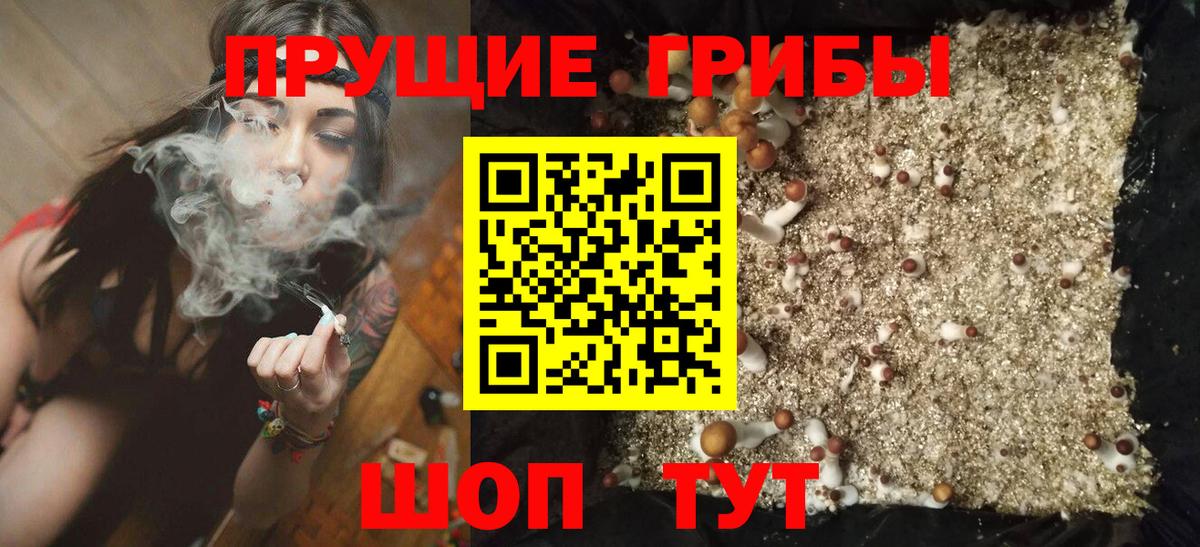 Псилоцибиновые грибы Psilocybine cubensis  Вход с VPN  Канаш 